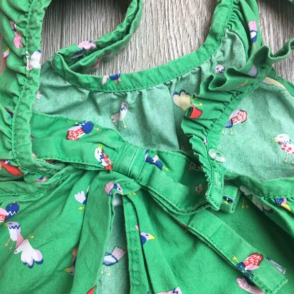Hanna Andersson Green Birds top and shorts Size 90 3T - Picture 3 of 6